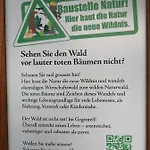 350 Mit Brockenblick