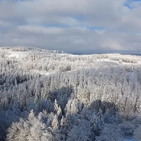 App 350 Mit Brockenblick Apartment Braunlage