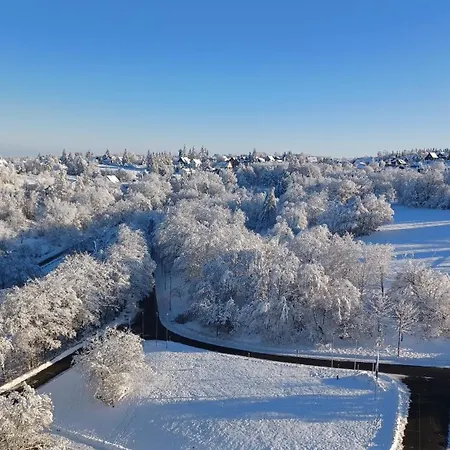 350 Mit Brockenblick 브라운라제