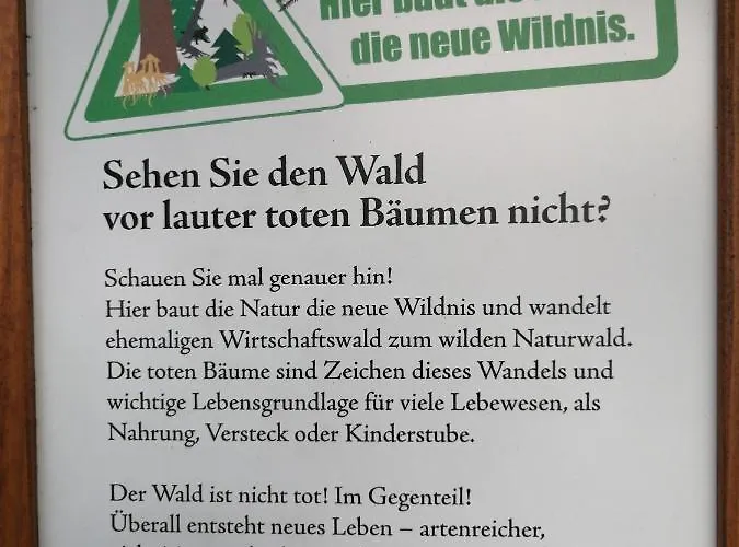 350 Mit Brockenblick